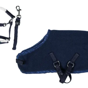 Start set till leksaks häst