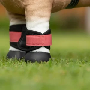 LeMieux benskydd Toy Pony Grafter Boots Cranberry