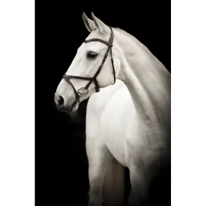 TRÄNS KNIGHTS ARTHUR