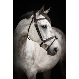 TRÄNS LIPPO BASIC TRAINER