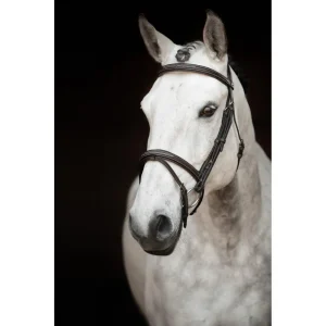 TRÄNS KNIGHTS SIR PATRIC BRUNT