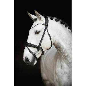 TRÄNS LIPPO SUPREME CASELLE