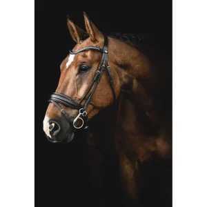 TRÄNS LIPPO SUPREME INTEGRO