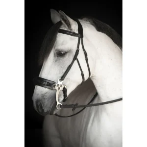 HACKAMORE TRÄNS LIPPO SUPREME CHESTER