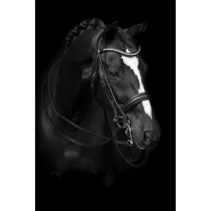 KANDARTRÄNS LIPPO SUPREME DELICATO