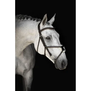 PULLAR TRÄNS LIPPO SUPREME WILSON